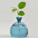 Tianyi - vase a fleurs d'avocat en verre, kit de croissance hydroponique, pot de dmarrage de graines ...