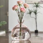 Tianyi - vase a fleurs d'avocat en verre, kit de croissance hydroponique, pot de dmarrage de graines ...