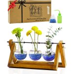 Tianyi - vase a fleurs terrarium plantes avec support en bois jardin de bouteilles : petits vases en ...