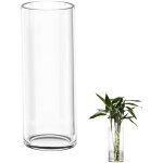 Tianyi - vase transparent en verre haut 30 cm, fleur dcoratif, pampas, cylindrique pour salon, grand ...