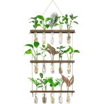 Tianyi - vase en verre  3 niveaux terrarium mural pour plantes avec support en bois, jardinire rtro ...