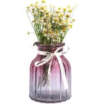 Tianyi - vase en verre dgrad multicolore pour la maison, le bureau, le salon (violet gris)