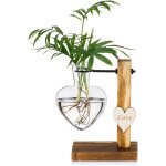 Tianyi - vase en verre en forme de c?ur avec support en bois pour plante hydroponique pour dcoration ...