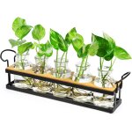 Tianyi - vase en verre station de propagation support en métal, jardinière rétro en verre tube à essai ... Tianyi - vase en verre station de propagation support en métal, jardinière rétro en verre tube à essai ...