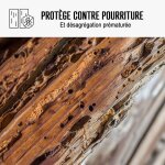 Traitement capricorne produit injecter pulv�riser 20 l