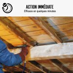 Traitement vrillette bois parquet meuble 5 l Traitement vrillette bois parquet meuble 5 l