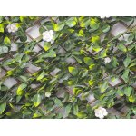 Treillis extensible jasmin fleuris 2 m (2 treillis de1 x 2 m) - jardideco Treillis extensible jasmin fleuris 2 m (2 treillis de1 x 2 m) - jardideco