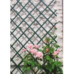 Treillis trelliflex vert 1x2m intermas