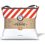 Ulteronixshop - oreiller naturel ferme 60x60 cm ¿ plumette et 10% duvet pour un confort ferme, r�silient ...