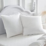 Ulteronixshop - oreillers en plume 60x60 lot de 2 oreillers en duvet � 3 compartiments avec 100% duvet ...