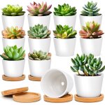 Ulteronixshop - pot de fleur interieur blanc rond avec soucoupe, cache pot ceramique pour cactus, lot ...