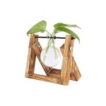 Vase bulbe marron avec support en bois vintage, dcoration unique pour plantes hydroponiques, dcoration ...