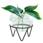 Vase hydroponique en verre de forme sph�rique, ornement de table, arrangement de fleurs pour la maison, ...