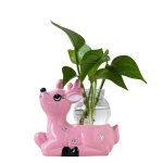 Vase hydroponique en verre pour plantes, pot de fleurs en c�ramique, d�coration de table, arrangement ...