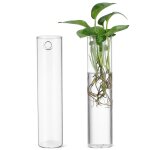 Vases muraux en verre, jardinieres murales, articles decoratifs minimalistes pour murs, 24, 50 x 5, 80 ... Vases muraux en verre, jardinieres murales, articles decoratifs minimalistes pour murs, 24, 50 x 5, 80 ...