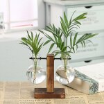 Vase a plantes hydroponiques vintage terrarium, dispositif transparent avec cadre en bois et plantes ...