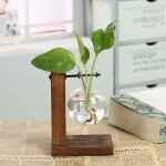 Vase a plantes hydroponiques vintage terrarium, dispositif transparent avec cadre en bois et plantes ...