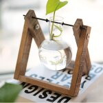 Vase a plantes hydroponiques vintage terrarium, dispositif transparent avec cadre en bois et plantes ...