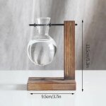 Vases a plantes terrarium hydroponique vintage, pot de fleurs en verre transparent, etagères a plantes ... Vases a plantes terrarium hydroponique vintage, pot de fleurs en verre transparent, etagères a plantes ...