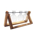 Vase transparent pour plantes hydroponiques, terrarium cratif, cadre en bois, verre de dcoration, plante ...
