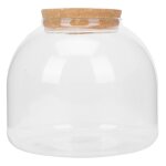 Vase en verre transparent pour plantes et orchides diy - jardinire dcorative avec bouchon en lige ...