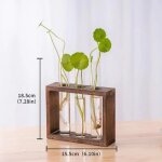 Vase en verre de tube a essai nordique minimaliste , cadre en bois cratif, rcipient pour plantes hydroponiqu ...