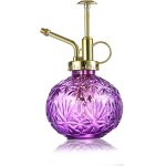 Verre plantes vaporisateur d'arrosage, 240ml rtro avec pompe suprieure arrosoir, une main darrosage ...