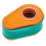 Vhbw 1x filtre mousse, 1x filtre papier remplacement pour briggs & stratton 793676, 792038, 790388 pour ...
