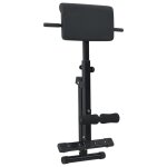 Vidaxl banc hyperextension 120 kg pliable et ajustable en acier