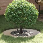 Vidaxl cercle de jardin acier inoxydable grand résistant circulaire Vidaxl cercle de jardin acier inoxydable grand résistant circulaire