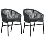 Vidaxl chaises de jardin lot de 2 anthracite rotin pe