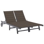 Vidaxl chaise longue de jardin 2 places avec coussin gris acacia