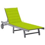 Vidaxl chaise longue de jardin avec coussin gris bois d'acacia solide