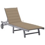 Vidaxl chaise longue de jardin avec coussin gris bois d'acacia solide