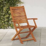 Vidaxl chaises pliantes de jardin avec accoudoir lot de 2 Vidaxl chaises pliantes de jardin avec accoudoir lot de 2