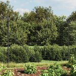 Vidaxl clture en treillis mtallique et ancrage anthracite 2, 2x10 m