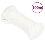 Vidaxl corde de bateau blanc complet 3 mm 100 m polypropylne