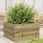 Vidaxl jardinire 80x80x46 cm bois de pin imprgn