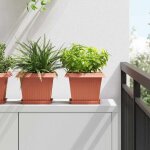 Vidaxl pots de plantes 6 pcs rouge brique 23 x 23 x 17, 5 cm plastique