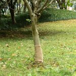 Vidaxl rouleau de jute 0, 25x25 m 100 % jute 200 g / m