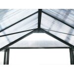 Viva green 1299 69182 dahlia serre de jardin polycarbonate / plastique vert sapin 9, 24 m 371 x 249 x ... Viva green 1299 69182 dahlia serre de jardin polycarbonate / plastique vert sapin 9, 24 m 371 x 249 x ...