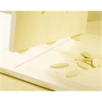 Wolfcraft 50 lamelles d'assemblage - n 0 Wolfcraft 50 lamelles d'assemblage - n 0