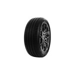 Pneu delinte 225 / 35 zr19 tl 88w delinte ds2 xl