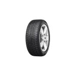 Pneu viking 255 / 50 vr19 tl 107v vik wintech xl