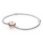 Bracelet c?ur & maille serpent moments bicolore