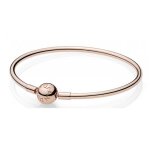 Bracelet jonc pandora moments