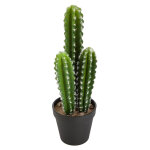 Cactus nomade h42 rond Cactus nomade h42 rond