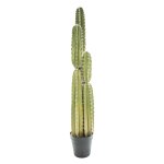 Cactus pin