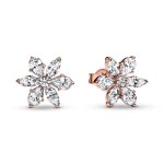 Clous d'oreilles herbier scintillant - pandora timeless dor� rose