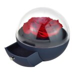 Coffret  bijoux rose ternelle rouge sous forme de globe - so charm